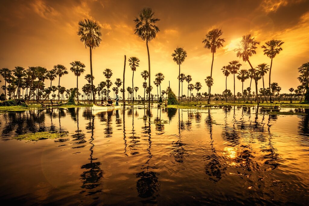 water, lake, trees, palms, travel, nature, outdoors, sunset, travel, travel, travel, travel, travel